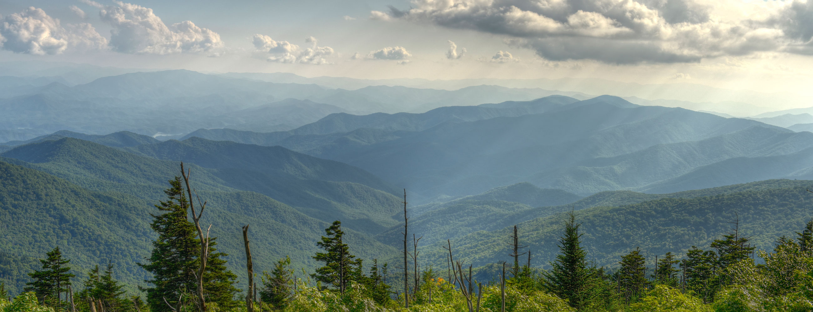Temple Of Sarees Temple Of Sarees