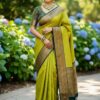 Temple Dual tone green Kanjeevaram Saree 1